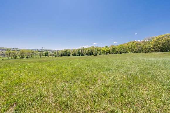 31.9 Acres of Agricultural Land for Sale in Max Meadows, Virginia