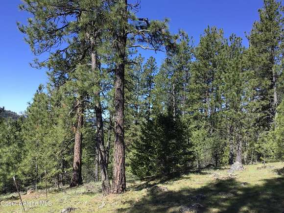 19.9 Acres of Land for Sale in Harrison, Idaho