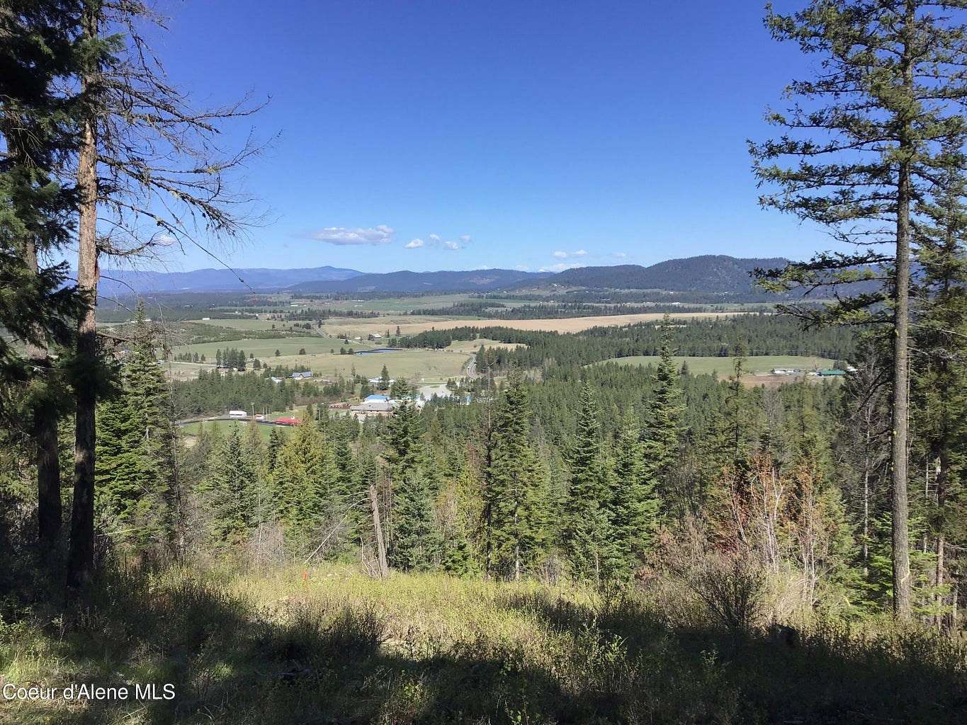 20.2 Acres of Land for Sale in Harrison, Idaho