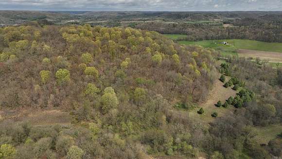 80 Acres of Land for Sale in Richland Center, Wisconsin