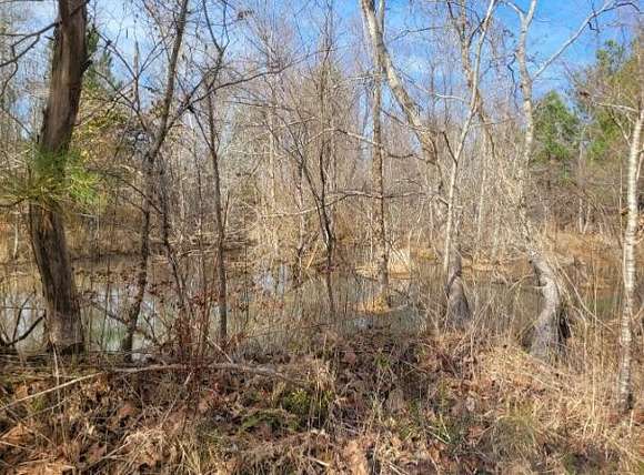 88.5 Acres of Recreational Land for Sale in Lincolnton, Georgia