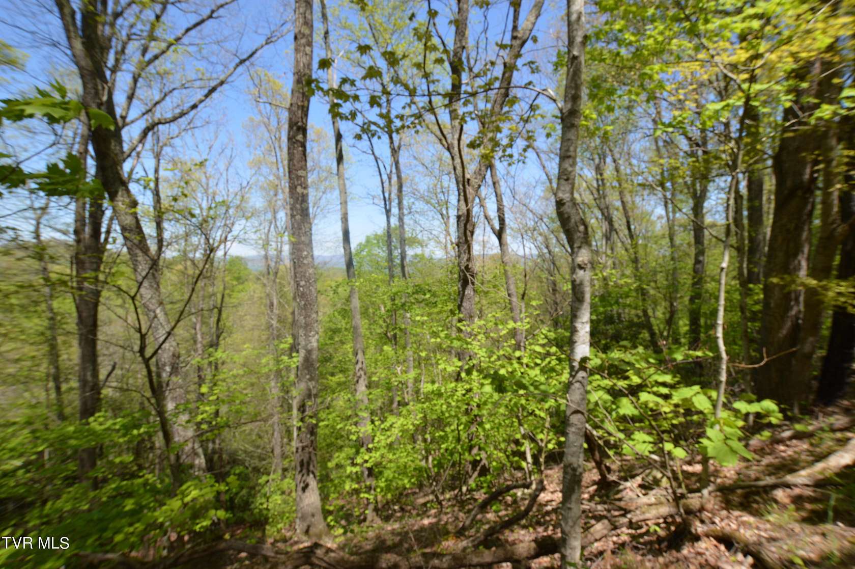 155 Acres of Land for Sale in Butler, Tennessee