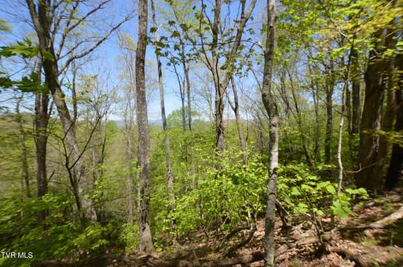 155 Acres of Land for Sale in Butler, Tennessee