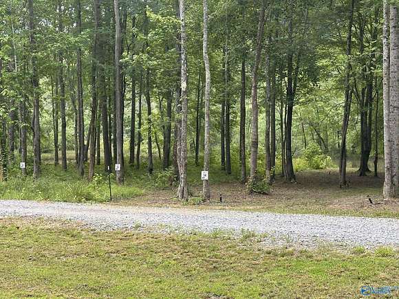 Residential Land for Sale in Cedar Bluff, Alabama