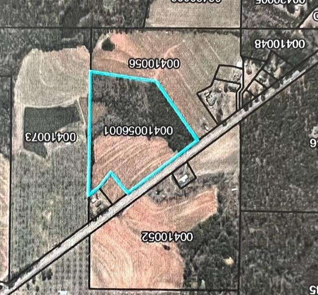 20.6 Acres of Land for Sale in Reno, Georgia