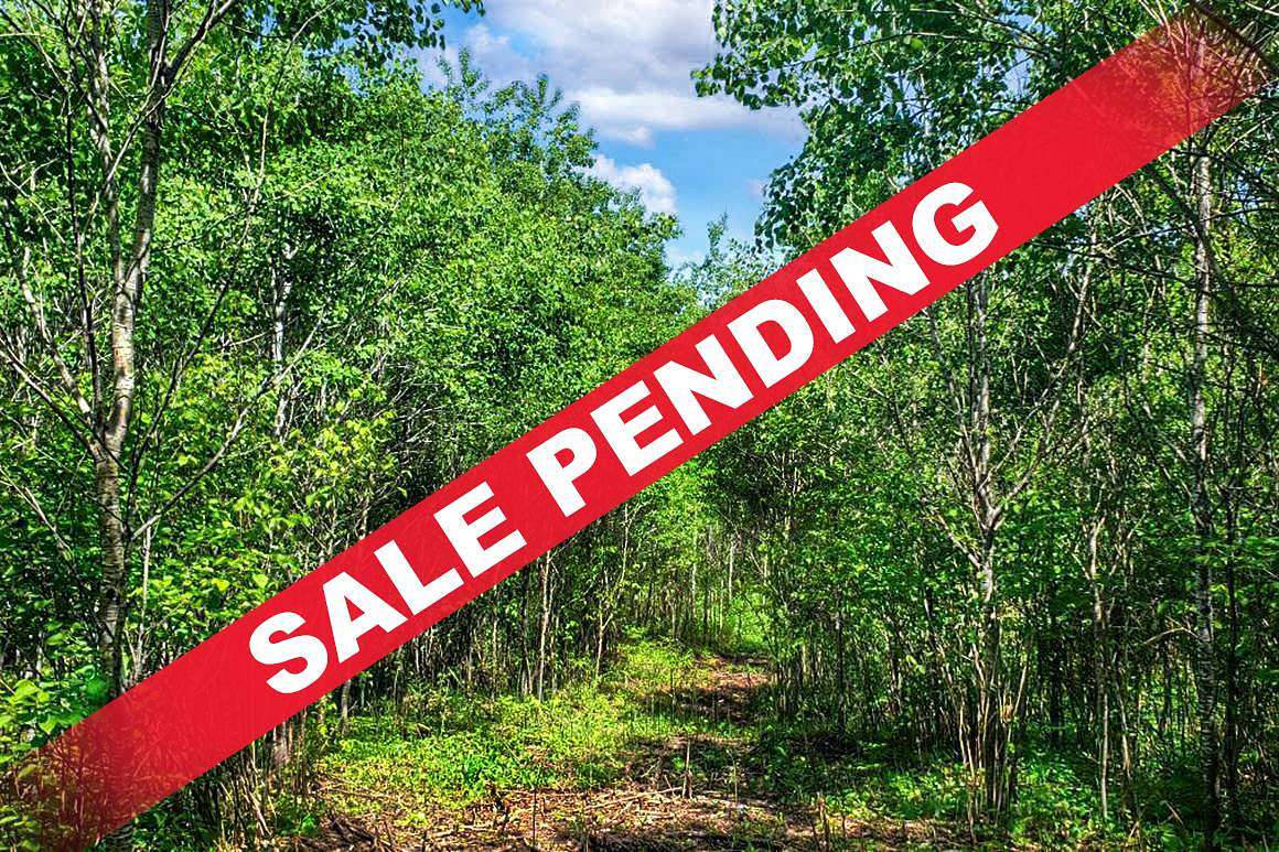 5 Acres of Residential Land for Sale in Tomahawk, Wisconsin