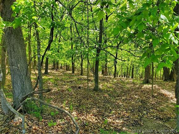 0.25 Acres of Land for Sale in Village of Four Seasons, Missouri