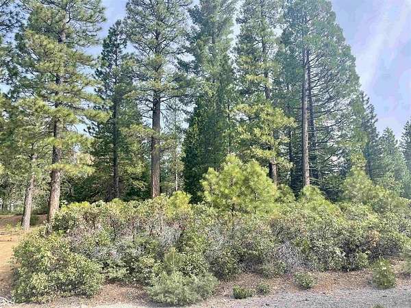 0.31 Acres of Residential Land for Sale in Lake Almanor Peninsula, California