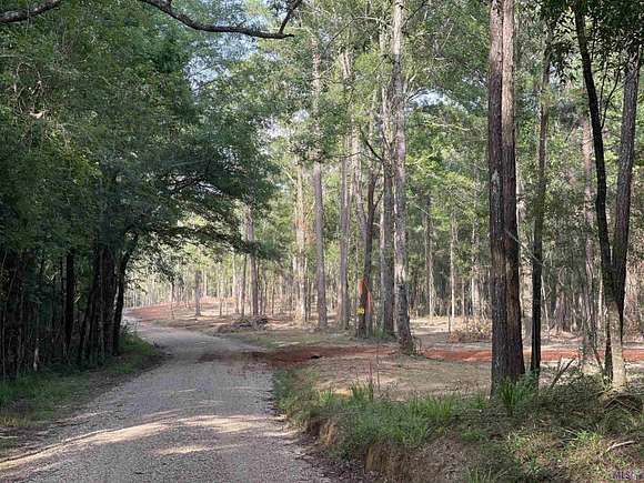 4.5 Acres of Residential Land for Sale in Clinton, Louisiana