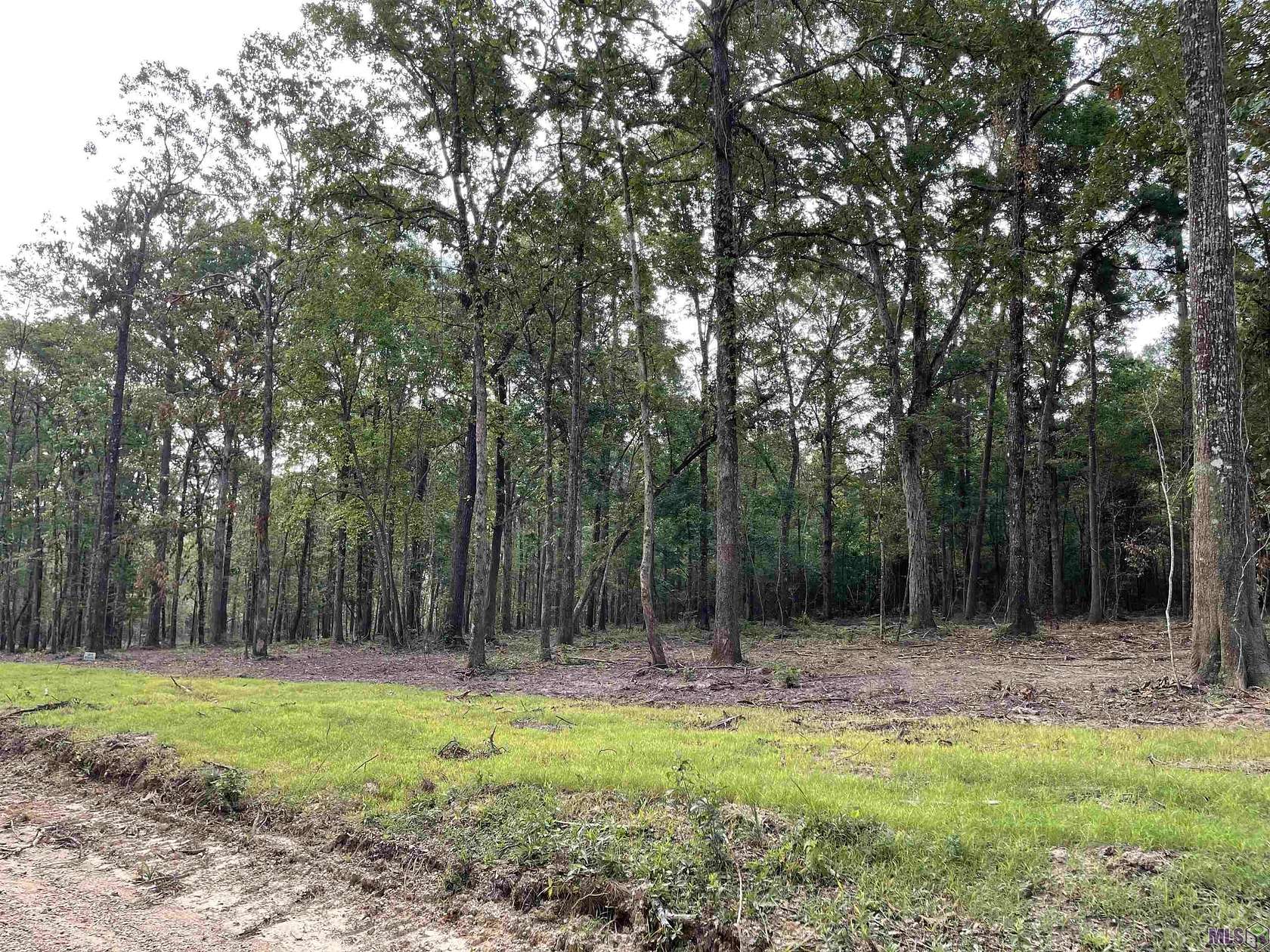 5.14 Acres of Residential Land for Sale in Clinton, Louisiana