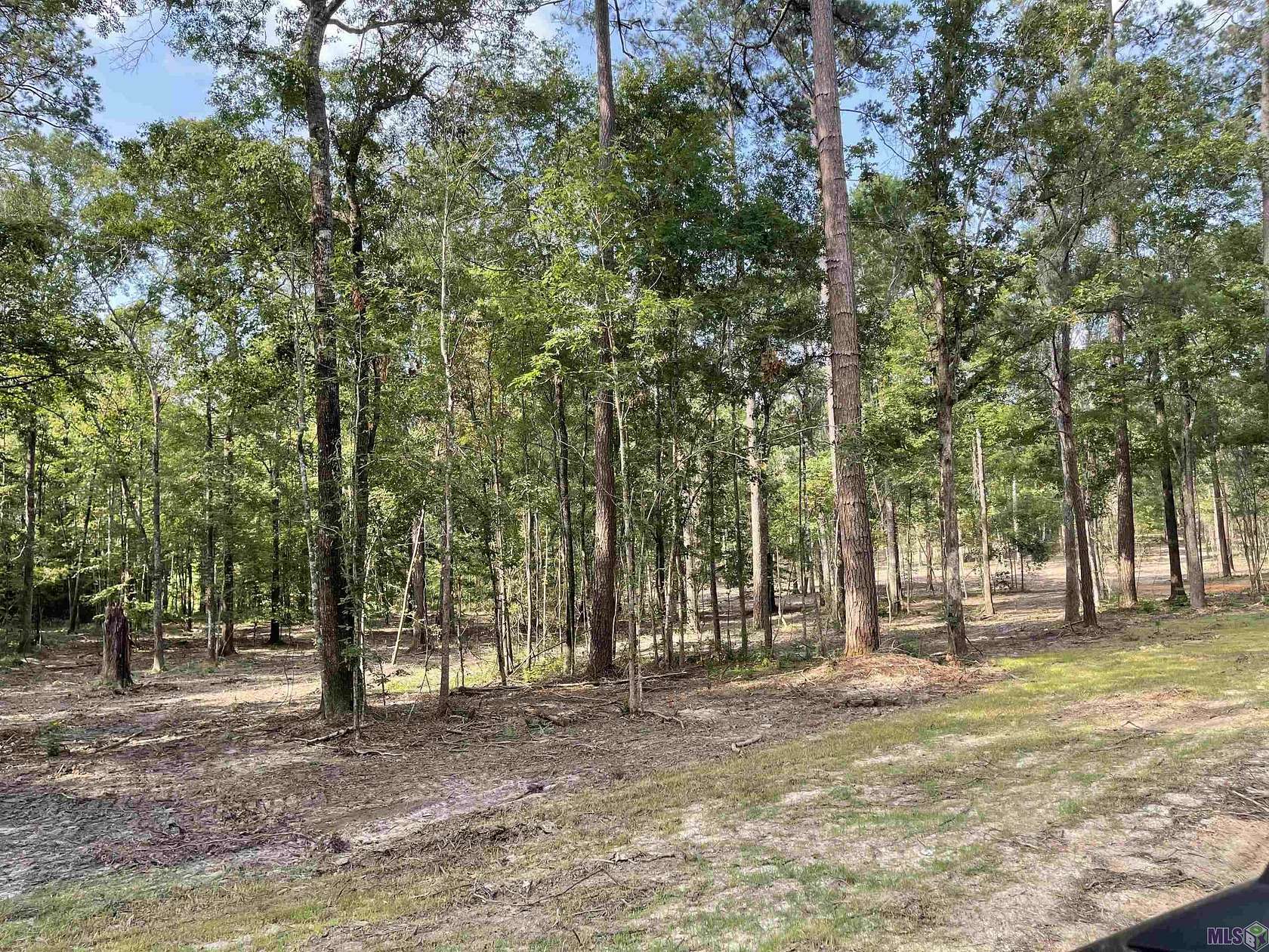 5.55 Acres of Residential Land for Sale in Clinton, Louisiana