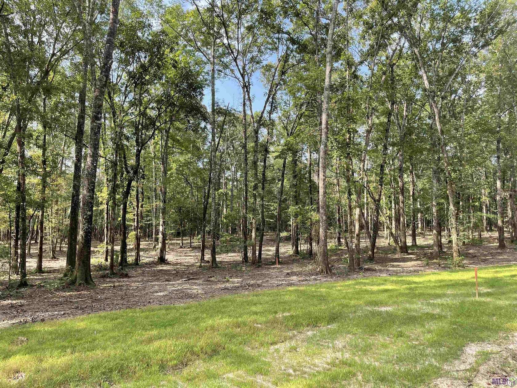 5.21 Acres of Residential Land for Sale in Clinton, Louisiana