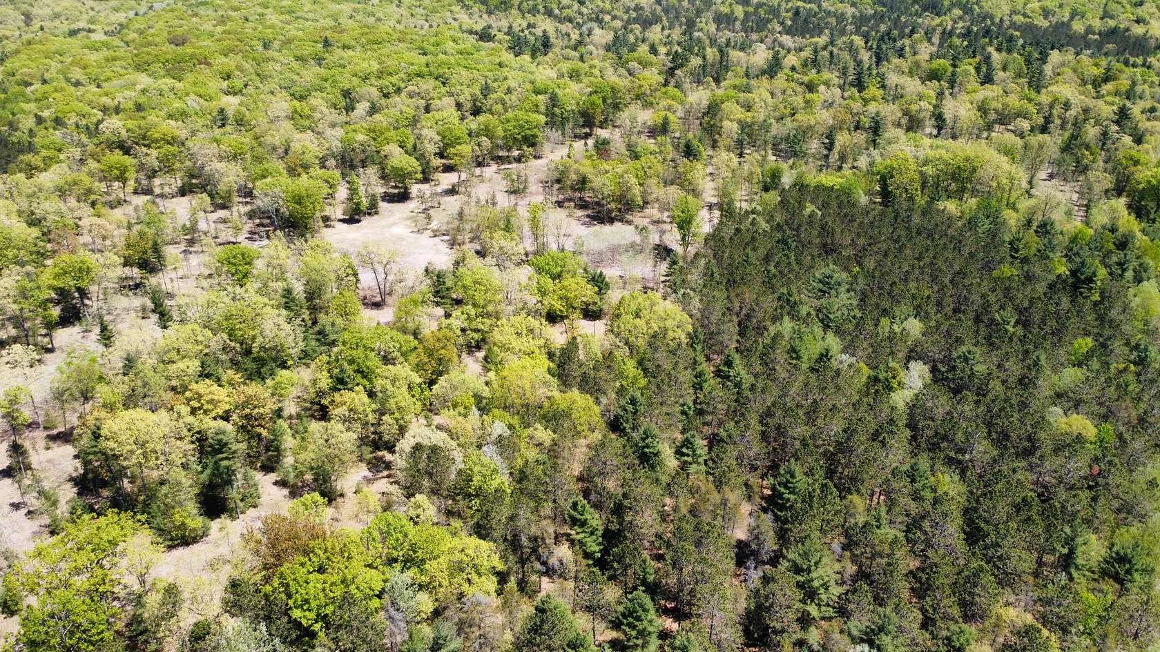 10 Acres of Residential Land for Sale in Manistee, Michigan