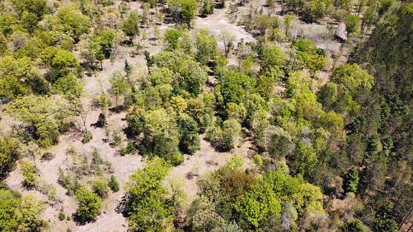 10 Acres of Residential Land for Sale in Manistee, Michigan