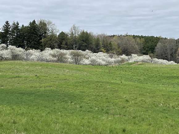 85 Acres of Agricultural Land for Sale in New Era, Michigan