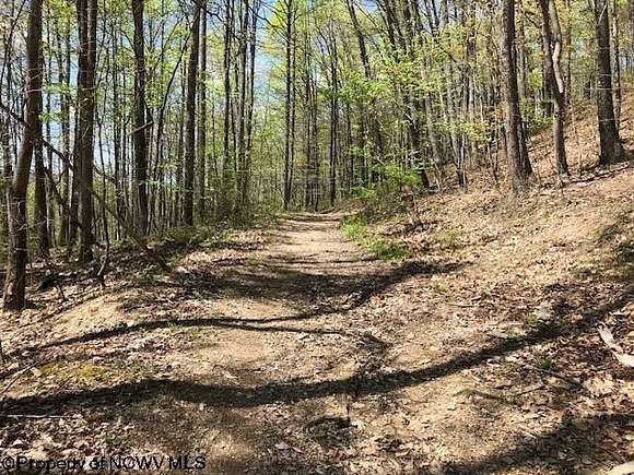 38.2 Acres of Recreational Land for Sale in Elkins, West Virginia