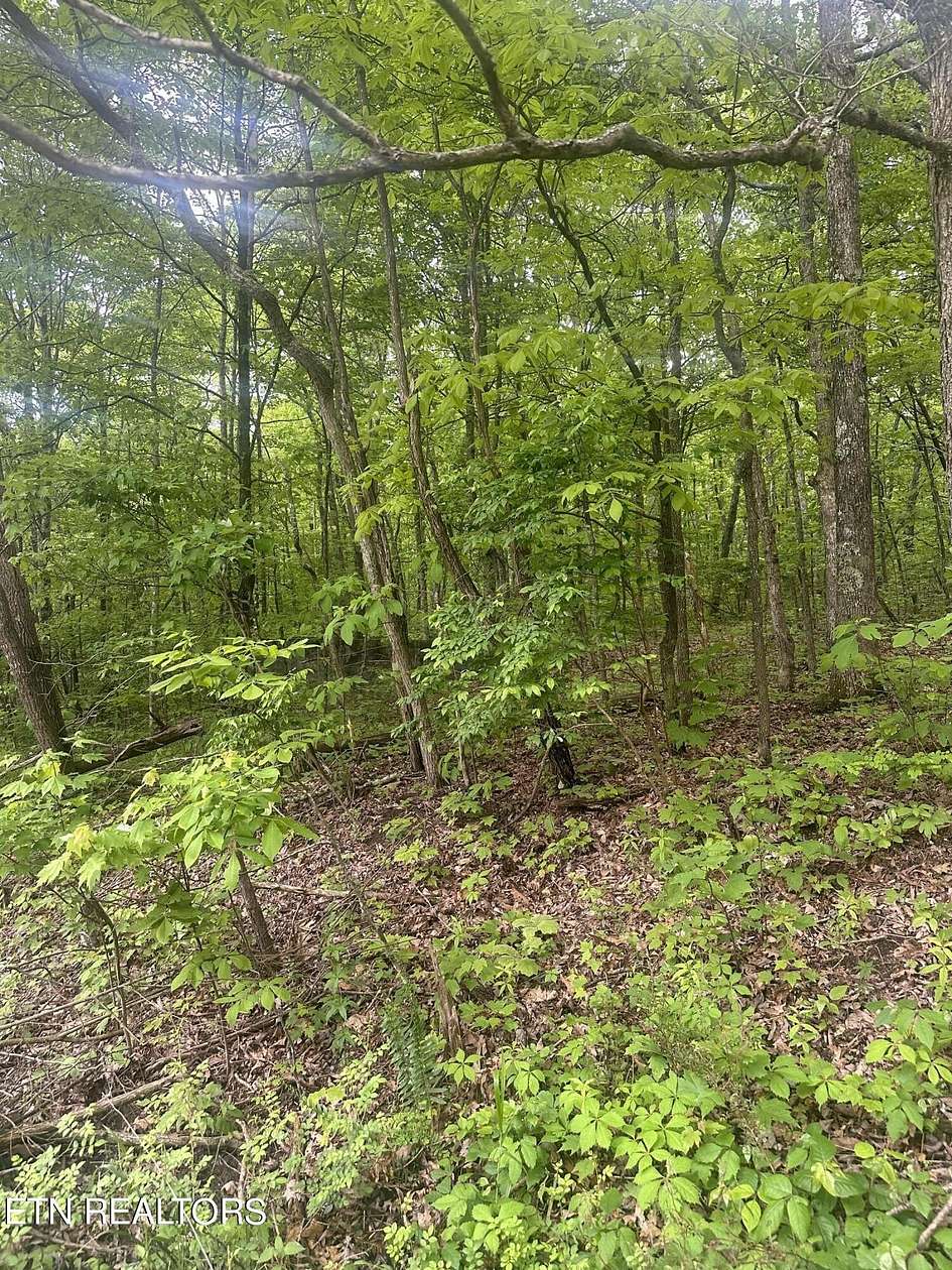 0.38 Acres of Land for Sale in Crab Orchard, Tennessee