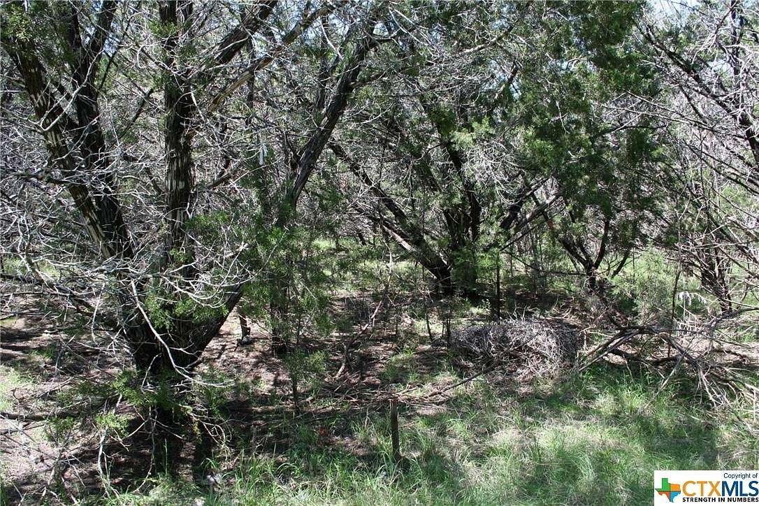 0.309 Acres of Residential Land for Sale in Belton, Texas