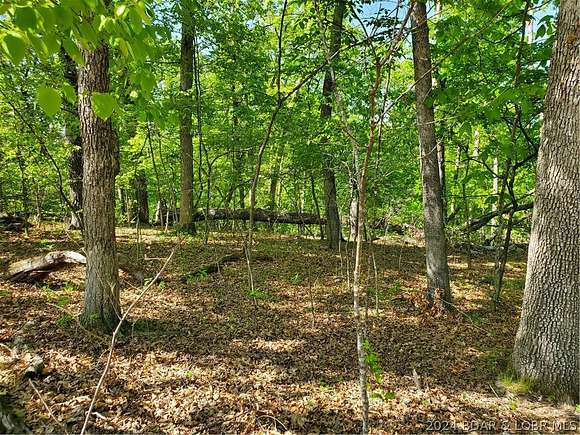 0.29 Acres of Land for Sale in Village of Four Seasons, Missouri