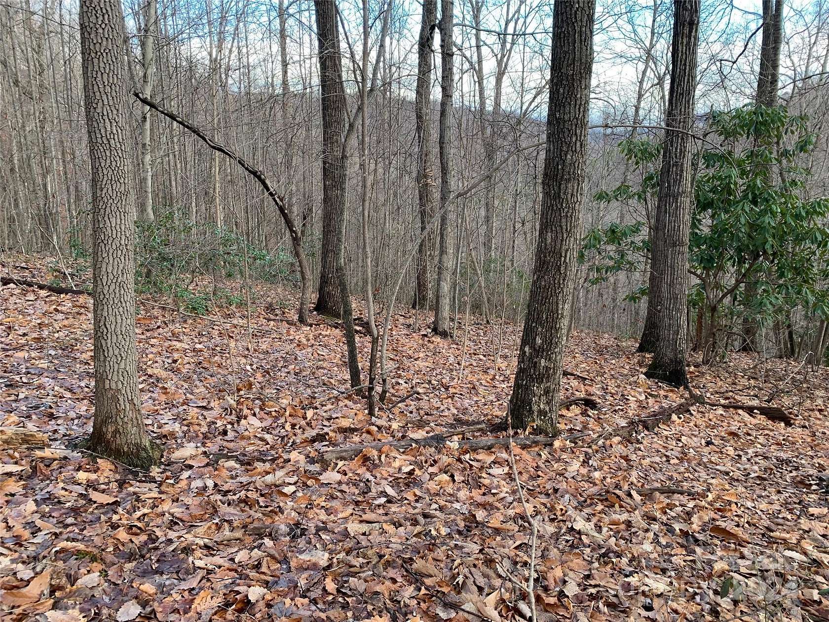 1.1 Acres of Land for Sale in Black Mountain, North Carolina