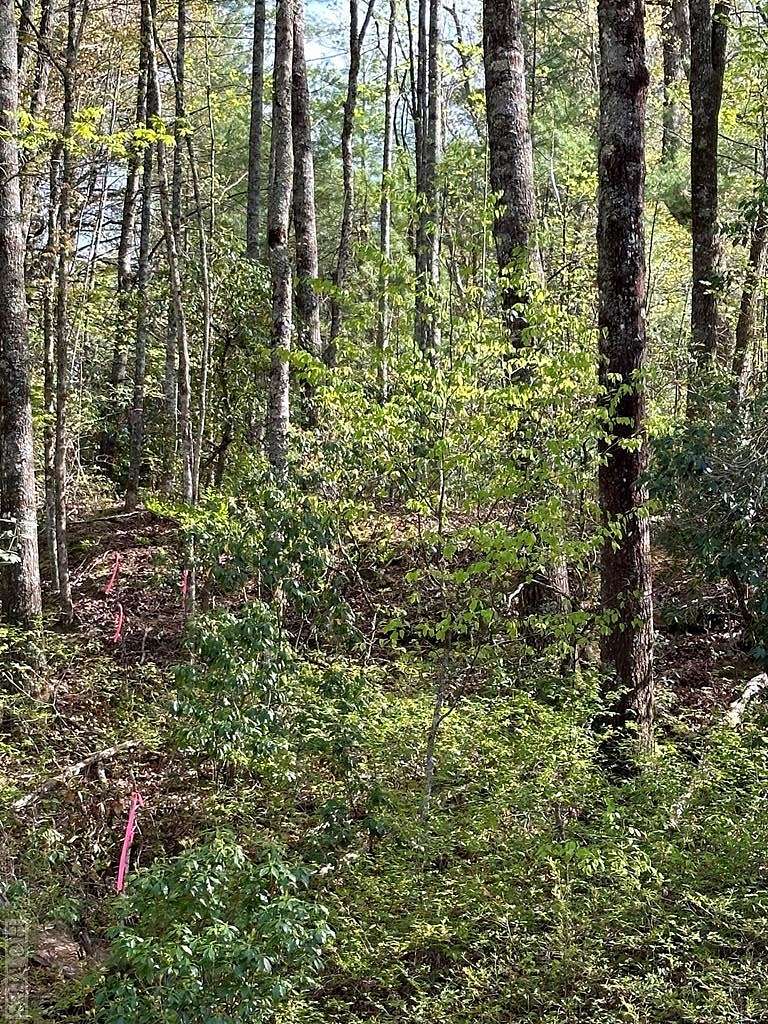 1.5 Acres of Land for Sale in Lake Toxaway, North Carolina