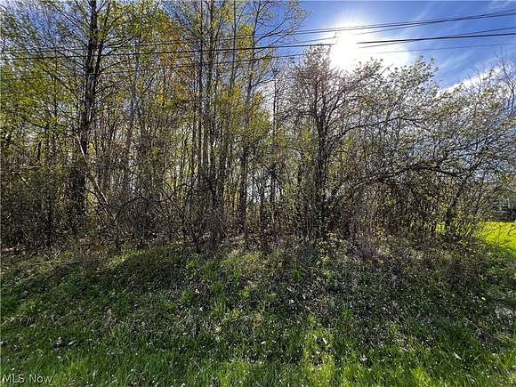 0.25 Acres of Residential Land for Sale in Roaming Shores, Ohio