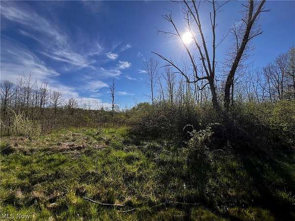 0.39 Acres of Land for Sale in Roaming Shores, Ohio