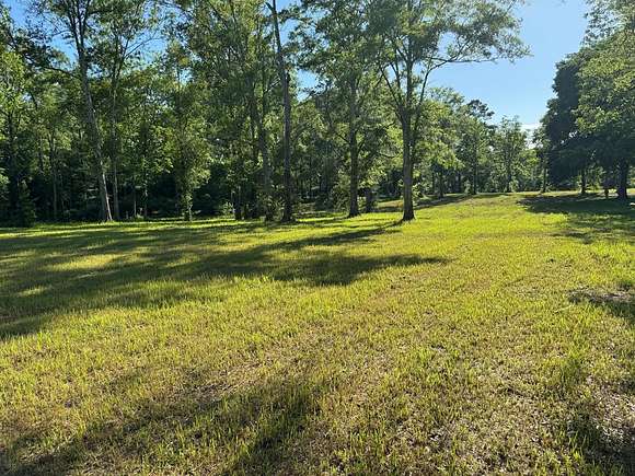 1 Acre of Residential Land for Sale in Carriere, Mississippi