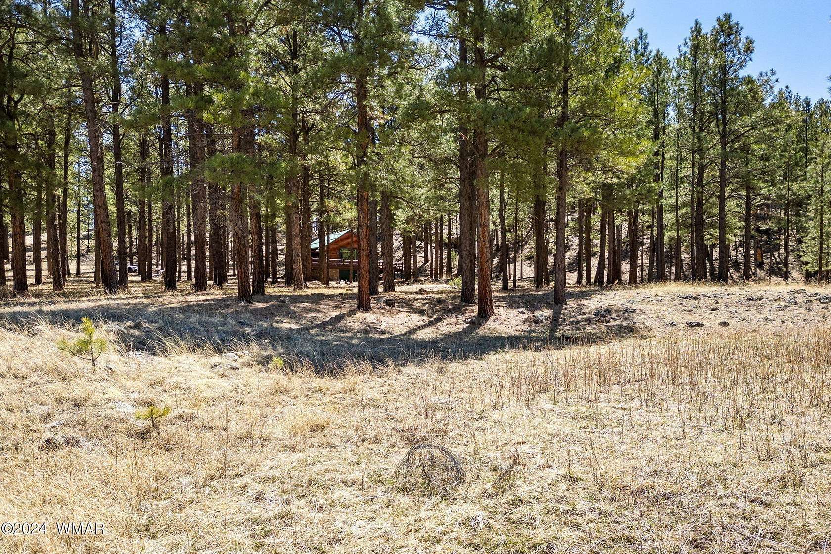 4 Acres of Residential Land with Home for Sale in Greer, Arizona