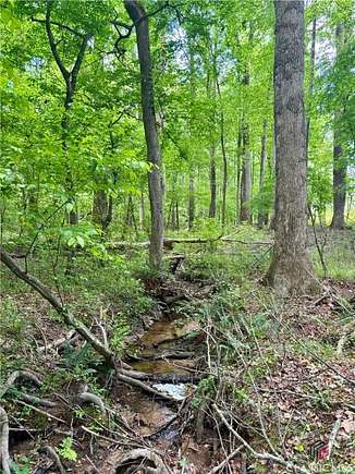 40.6 Acres of Recreational Land for Sale in Carlton, Georgia