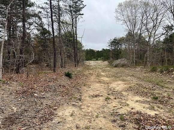 2 Acres of Residential Land for Sale in Manorville, New York