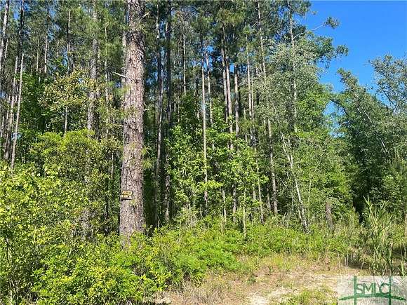 2 Acres of Residential Land for Sale in Lyons, Georgia