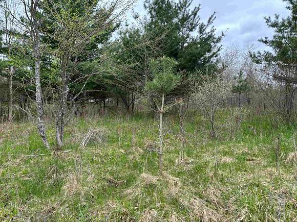 0.3 Acres of Residential Land for Sale in Gladwin, Michigan