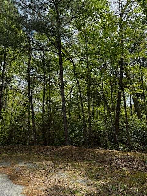 1.31 Acres of Residential Land for Sale in Heathsville, Virginia