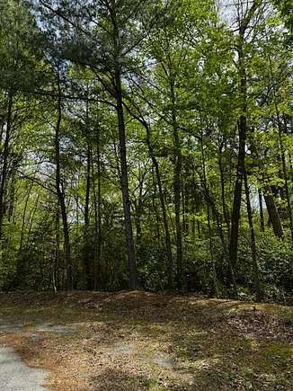 1.3 Acres of Residential Land for Sale in Heathsville, Virginia