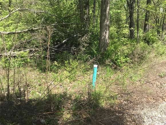4 Acres of Land for Sale in Troy, Missouri