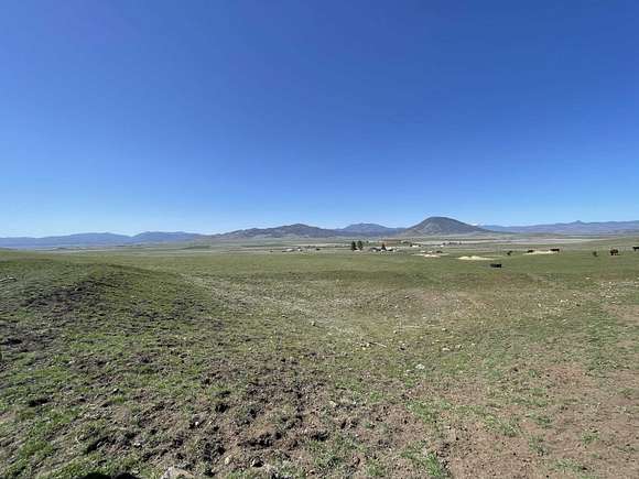 45.2 Acres of Land for Sale in Montague, California