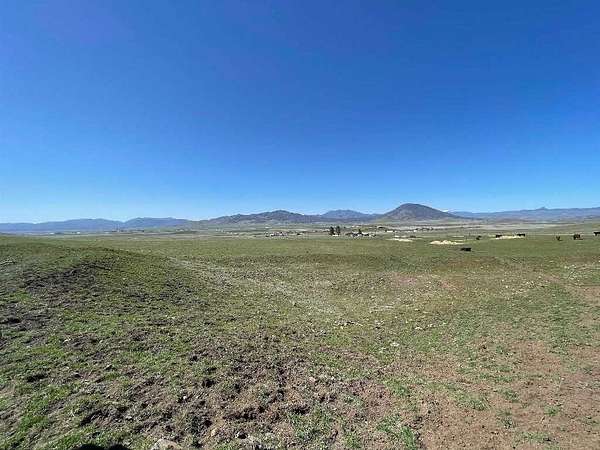 45.2 Acres of Land for Sale in Montague, California