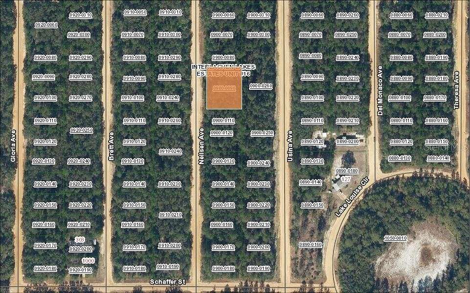 0.43 Acres of Residential Land for Sale in Interlachen, Florida