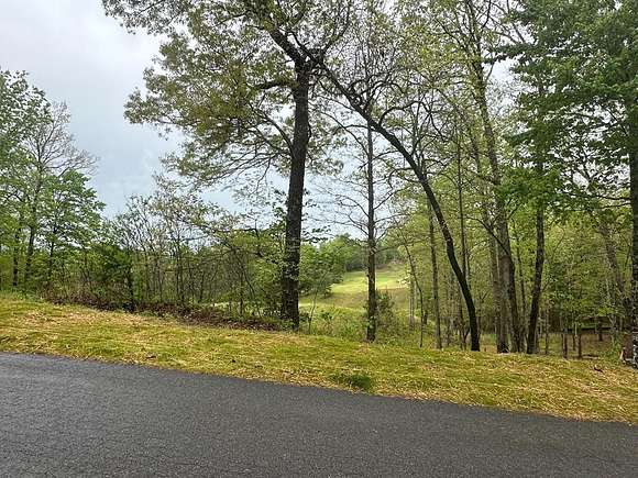 0.59 Acres of Residential Land for Sale in Mineral Bluff, Georgia