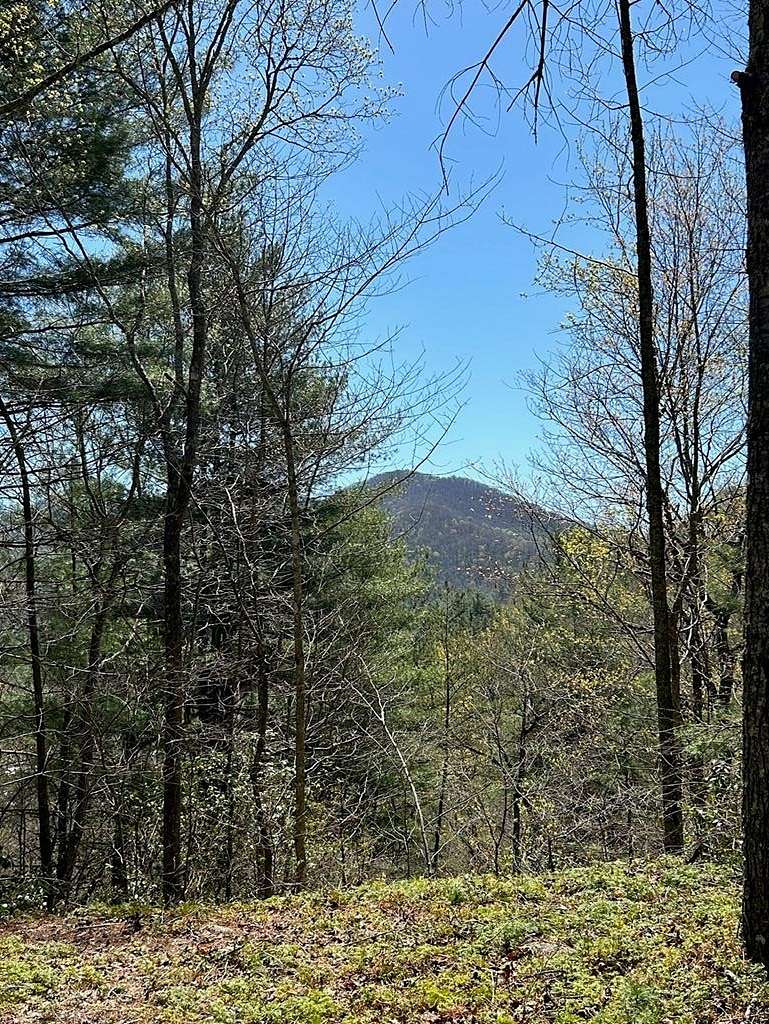 2.9 Acres of Residential Land for Sale in Hiawassee, Georgia