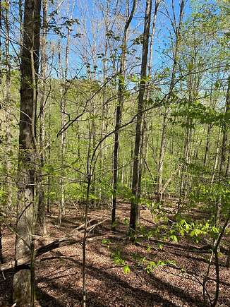 0.45 Acres of Residential Land for Sale in Ellijay, Georgia