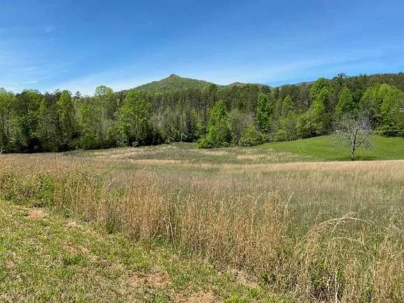20.9 Acres of Land for Sale in Cowee Township, North Carolina