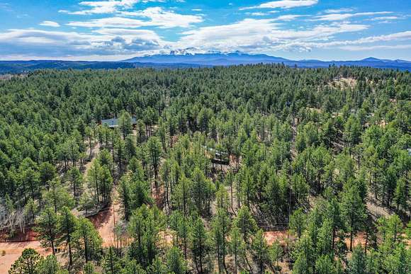 2 Acres of Residential Land for Auction in Florissant, Colorado