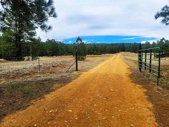 43.2 Acres of Recreational Land for Sale in Mora, New Mexico