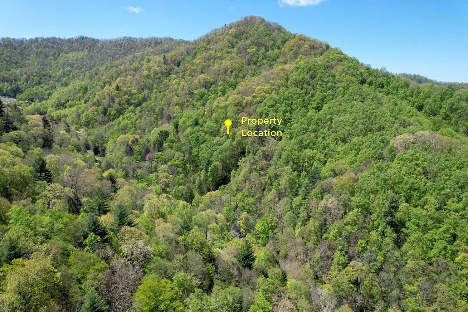 33.7 Acres of Recreational Land for Sale in Marshall, North Carolina