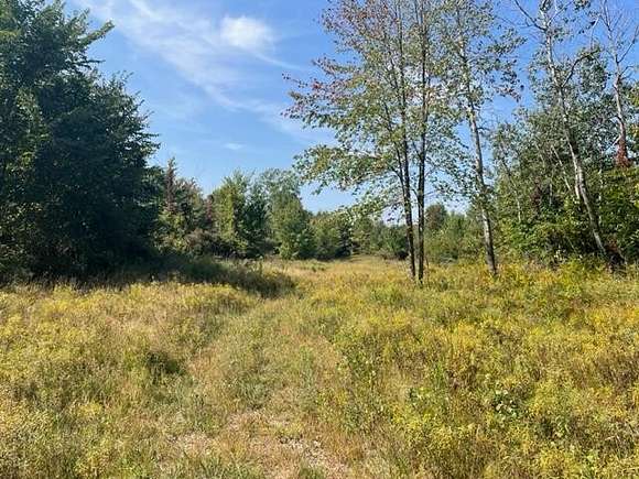 84.9 Acres of Recreational Land for Sale in Bangor, Michigan