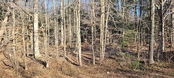 2 Acres of Residential Land for Sale in Grand Haven, Michigan