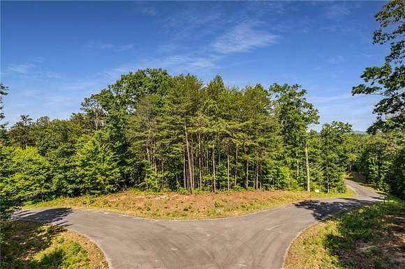 58 Acres of Recreational Land for Sale in Ellijay, Georgia