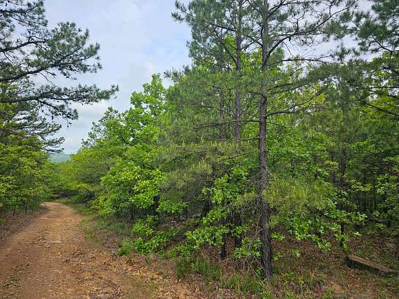 38.6 Acres of Recreational Land for Sale in Talihina, Oklahoma